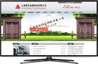 專業(yè)網(wǎng)絡(luò)技術(shù)服務(wù) 松江網(wǎng)站建設(shè)、制作與設(shè)計(jì)解決方案